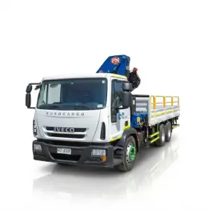 CAMION GRUA
